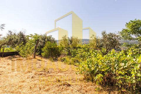 Villa a Celorico da Beira, Guarda, Celorico da Beira - € 105.000 | Ref: CAS_2487 - foto 26