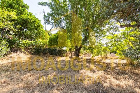 Villa a Celorico da Beira, Guarda, Celorico da Beira - € 105.000 | Ref: CAS_2487 - foto 27