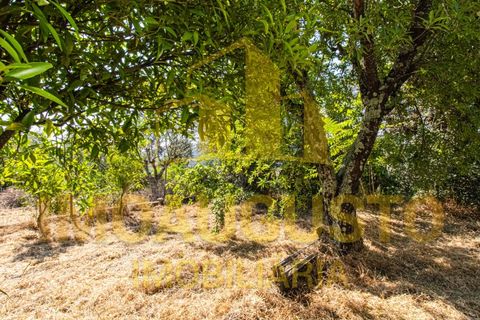 Villa a Celorico da Beira, Guarda, Celorico da Beira - € 105.000 | Ref: CAS_2487 - foto 28