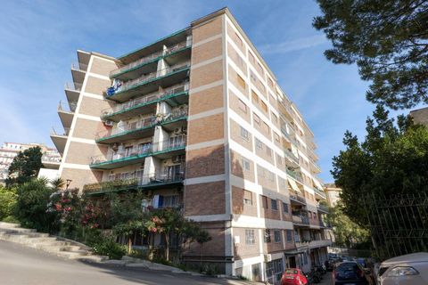 Lejlighed i Naples, Naples, Naples - € 295.000 | Ref: 81 - foto 3