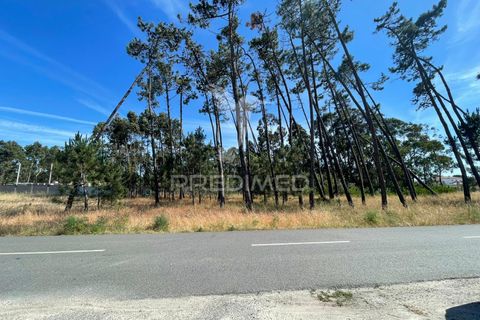 Helårsgrund i Ilhavo, Aveiro, Ilhavo - € 69.000 | Ref: 061394 - foto 1