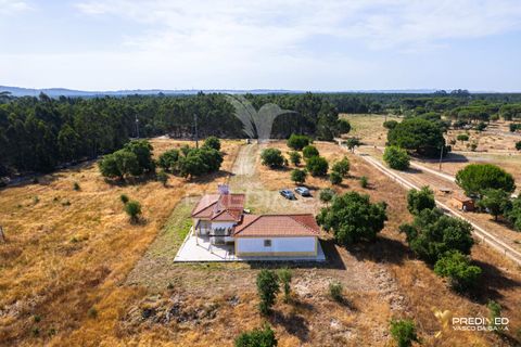 Farm hus i Sines, Setubal, Sines - € 850.000 | Ref: 061452 - foto 28
