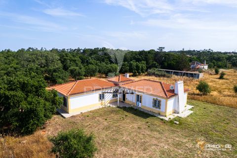 Farm hus i Sines, Setubal, Sines - € 850.000 | Ref: 061452 - foto 30