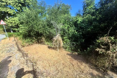 Helårsgrund i Vila Verde, Braga, Vila Verde - € 60.000 | Ref: 061480 - foto 8