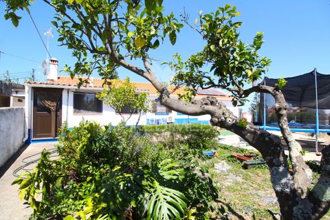Byhus i Santiago do Cacem, Setubal, Santiago do Cacem - € 349.000 | Ref: 061340 - foto 1