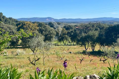 Byhus i Fundao, Castelo Branco, Fundao - € 350.000 | Ref: 061445 - foto 3