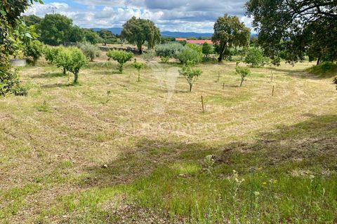 Byhus i Fundao, Castelo Branco, Fundao - € 350.000 | Ref: 061445 - foto 4