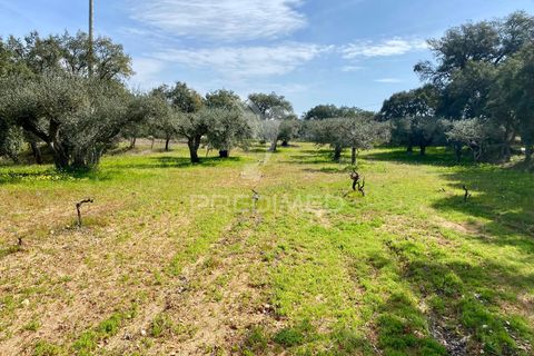 Byhus i Fundao, Castelo Branco, Fundao - € 350.000 | Ref: 061445 - foto 5