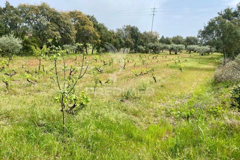 Byhus i Fundao, Castelo Branco, Fundao - € 350.000 | Ref: 061445 - foto 24