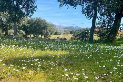 Byhus i Fundao, Castelo Branco, Fundao - € 350.000 | Ref: 061445 - foto 25