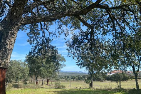 Byhus i Fundao, Castelo Branco, Fundao - € 350.000 | Ref: 061445 - foto 26