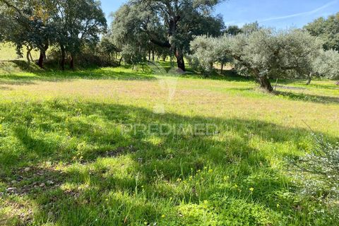 Byhus i Fundao, Castelo Branco, Fundao - € 350.000 | Ref: 061445 - foto 27