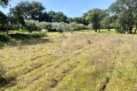 Byhus i Fundao, Castelo Branco, Fundao - € 350.000 | Ref: 061445 - foto 28