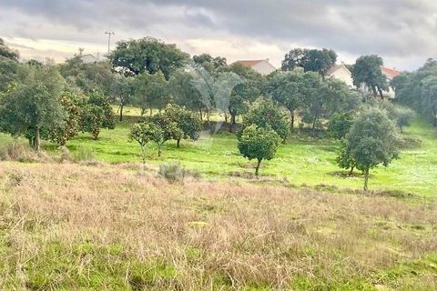 Byhus i Fundao, Castelo Branco, Fundao - € 350.000 | Ref: 061445 - foto 30