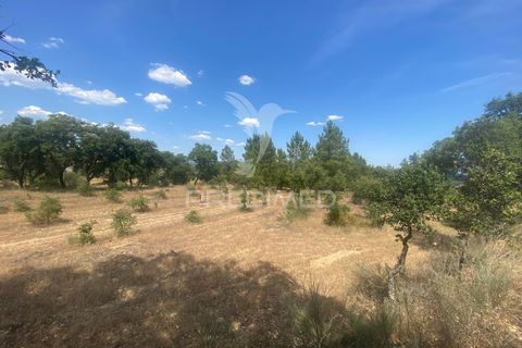 Byhus i Fundao, Castelo Branco, Fundao - € 350.000 | Ref: 061445 - foto 31