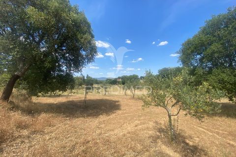 Byhus i Fundao, Castelo Branco, Fundao - € 350.000 | Ref: 061445 - foto 32