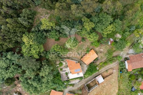 Byhus i Amares, Braga, Amares - € 65.000 | Ref: 061449 - foto 5