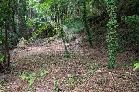 Byhus i Amares, Braga, Amares - € 65.000 | Ref: 061449 - foto 20