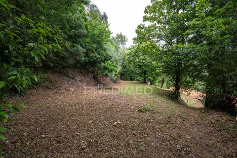 Byhus i Amares, Braga, Amares - € 65.000 | Ref: 061449 - foto 21
