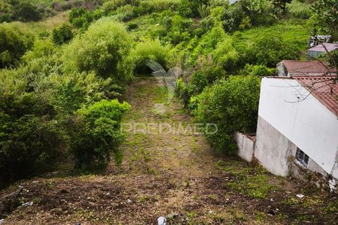 Helårsgrund i Coimbra, Coimbra, Coimbra - € 24.000 | Ref: 061455 - foto 3