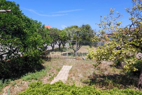Byhus i Ilhavo, Aveiro, Ilhavo - € 325.000 | Ref: 061468 - foto 15