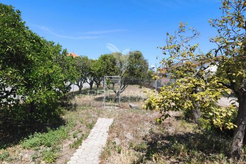 Byhus i Ilhavo, Aveiro, Ilhavo - € 325.000 | Ref: 061468 - foto 16