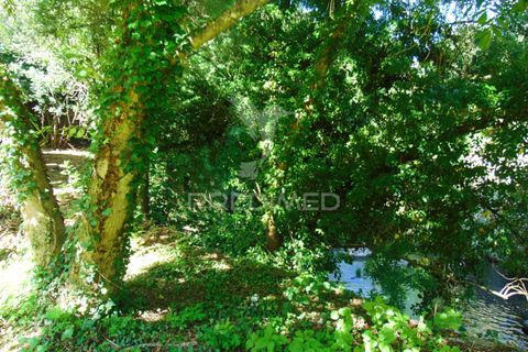 Byhus i Vila Real, Vila Real, Vila Real - € 325.000 | Ref: 061319 - foto 35
