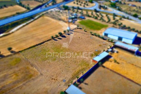 Tomt i Evora, Evora, Evora - € 69 900 | Ref: 061327 - foto 4
