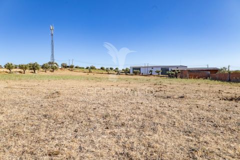 Tomt i Evora, Evora, Evora - € 69 900 | Ref: 061327 - foto 11