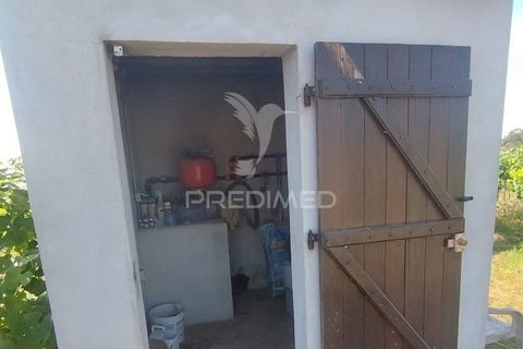 Farm hus i Nisa, Portalegre, Nisa - € 125.000 | Ref: 061391 - foto 5