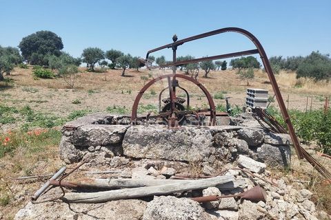 Farm hus i Nisa, Portalegre, Nisa - € 125.000 | Ref: 061391 - foto 6