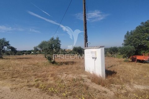 Farm hus i Nisa, Portalegre, Nisa - € 125.000 | Ref: 061391 - foto 7