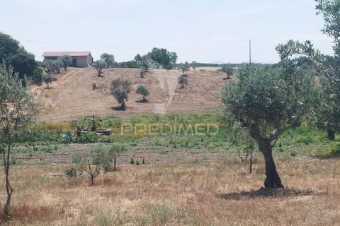 Farm hus i Nisa, Portalegre, Nisa - € 125.000 | Ref: 061391 - foto 8