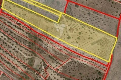 Farm hus i Nisa, Portalegre, Nisa - € 125.000 | Ref: 061391 - foto 17