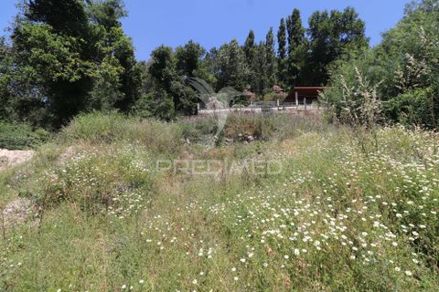 Byhus i Ponte de Lima, Viana do Castelo, Ponte de Lima - € 175.000 | Ref: 061415 - foto 38