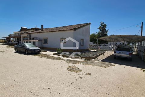 Gårdshus i Beja, Beja, Beja - € 595 000 | Ref: 333/Q/01486 - foto 48