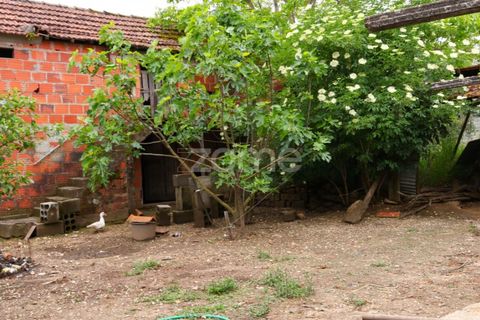 Villa i Pombal, Leiria, Pombal - € 67.500 | Ref: ZMPT588553 - foto 17