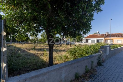 Helårsgrund i Coimbra, Coimbra, Coimbra - € 89.000 | Ref: ZMPT590228 - foto 6