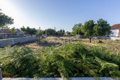 Helårsgrund i Coimbra, Coimbra, Coimbra - € 89.000 | Ref: ZMPT590228 - foto 7