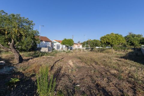 Helårsgrund i Coimbra, Coimbra, Coimbra - € 89.000 | Ref: ZMPT590228 - foto 8
