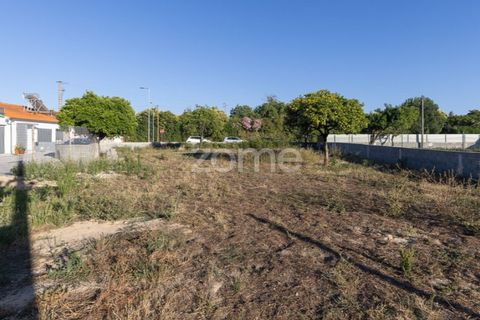 Helårsgrund i Coimbra, Coimbra, Coimbra - € 89.000 | Ref: ZMPT590228 - foto 9