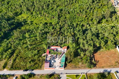 Helårsgrund i Assafarge e Antanhol, Coimbra, Assafarge e Antanhol - € 120.000 | Ref: ZMPT589969 - foto 3