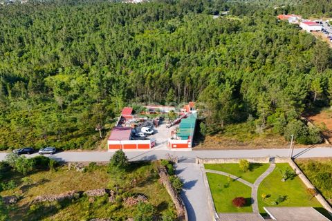 Helårsgrund i Assafarge e Antanhol, Coimbra, Assafarge e Antanhol - € 120.000 | Ref: ZMPT589969 - foto 12