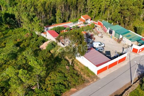 Helårsgrund i Assafarge e Antanhol, Coimbra, Assafarge e Antanhol - € 120.000 | Ref: ZMPT589969 - foto 14