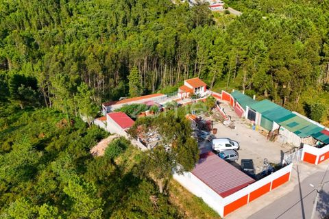 Helårsgrund i Assafarge e Antanhol, Coimbra, Assafarge e Antanhol - € 120.000 | Ref: ZMPT589969 - foto 15