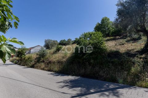 Helårsgrund i Coimbra, Coimbra, Coimbra - € 76.150 | Ref: ZMPT590202 - foto 4