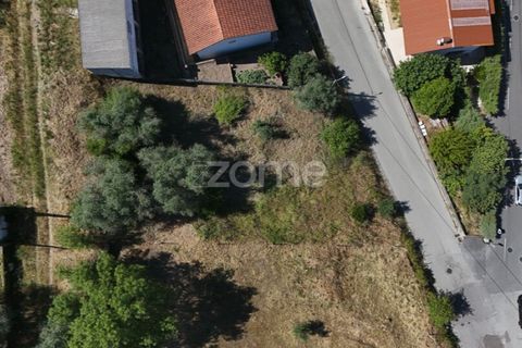 Helårsgrund i Coimbra, Coimbra, Coimbra - € 76.150 | Ref: ZMPT590202 - foto 7