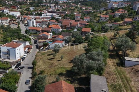 Helårsgrund i Coimbra, Coimbra, Coimbra - € 76.150 | Ref: ZMPT590202 - foto 9