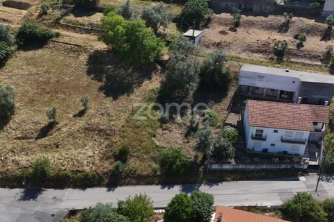Helårsgrund i Coimbra, Coimbra, Coimbra - € 76.150 | Ref: ZMPT590202 - foto 14