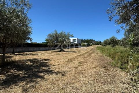 Helårsgrund i Coimbra, Coimbra, Coimbra - € 52.500 | Ref: ZMPT590021 - foto 1